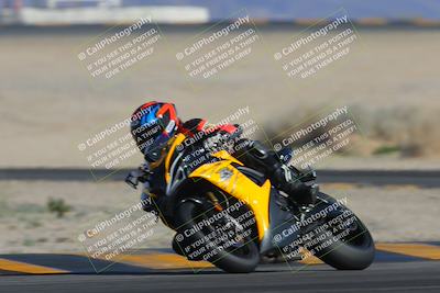 media/Feb-04-2023-SoCal Trackdays (Sat) [[8a776bf2c3]]/Turn 4 (Tree of Life 2pm)/